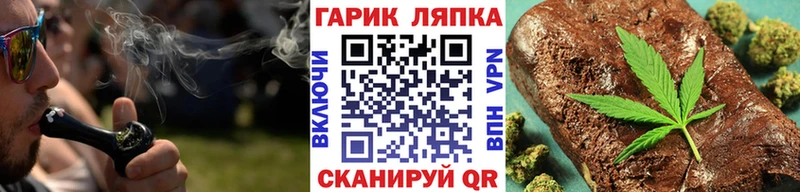 ГАШ hashish  omg сайт  сайты даркнета клад  как найти наркотики  Светлогорск 