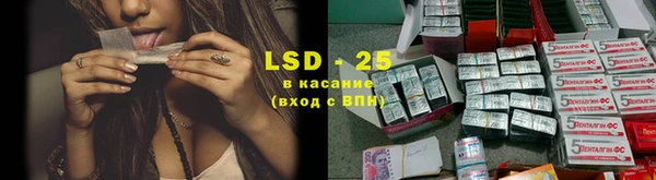 ПСИЛОЦИБИНОВЫЕ ГРИБЫ Протвино