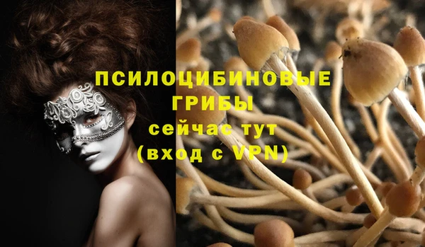 прущая мука Приозерск