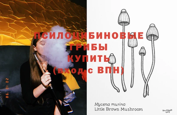 ПСИЛОЦИБИНОВЫЕ ГРИБЫ Протвино