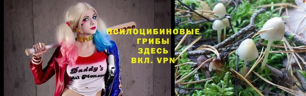 прущая мука Приозерск