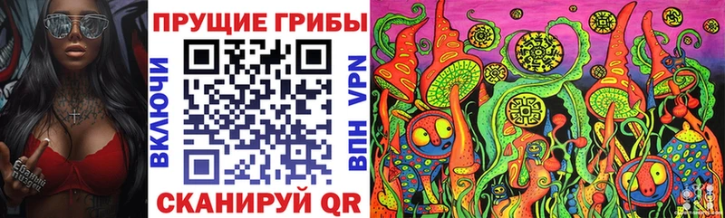 купить  цена  Светлогорск  Галлюциногенные грибы Magic Shrooms 